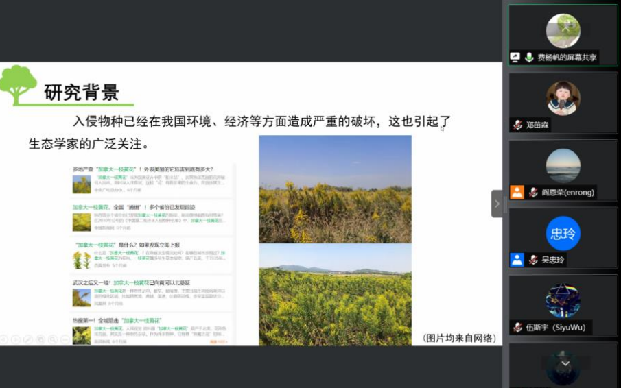 9费杨帆 9费杨帆