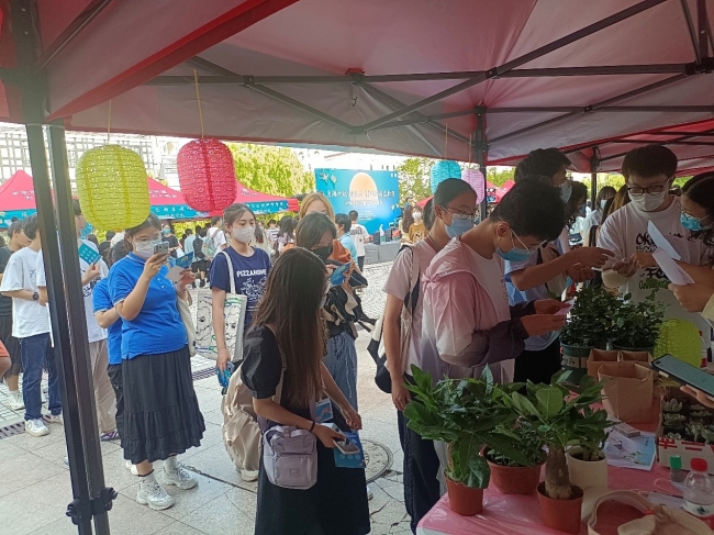 图片9 图片9