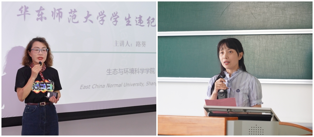组合 组合