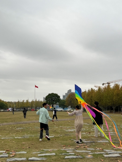 图片8