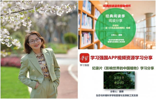 组合1 组合1