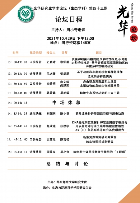 图片11
