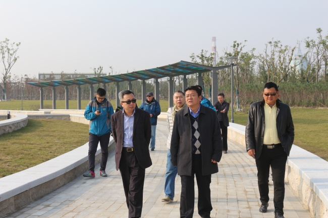 参观鹦鹉洲湿地工程现场1