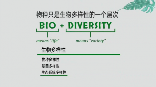 图片6 图片6