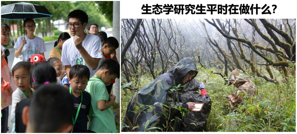 组合1 组合1