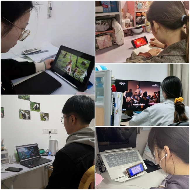 组合 组合