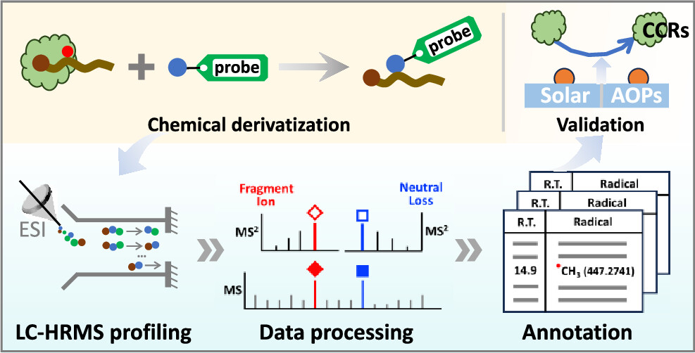 成果摘要.png 成果摘要.png