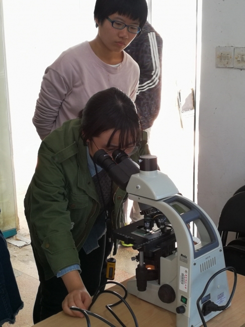 学生正在用显微镜观察浮游生物 学生正在用显微镜观察浮游生物
