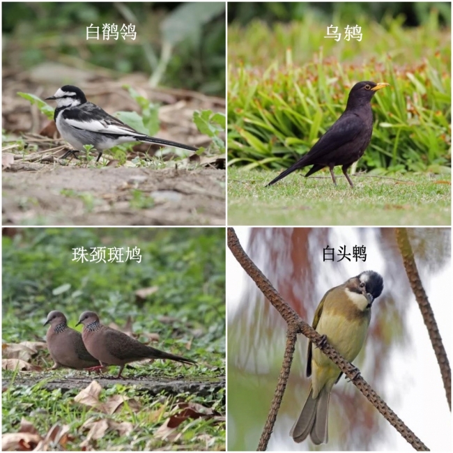 组合4 组合4