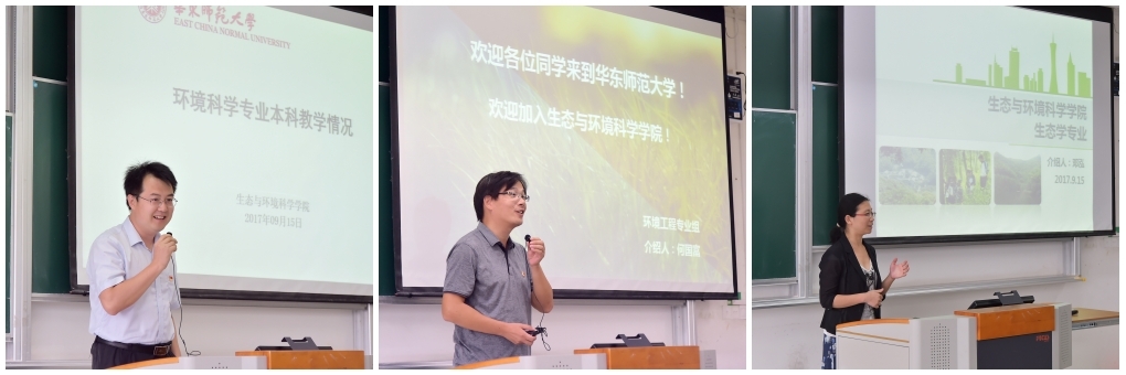 组合1